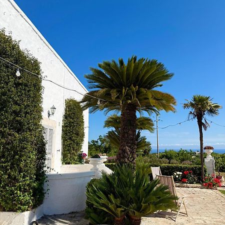 B&B Nonno Ciccio Monopoli Exteriér fotografie